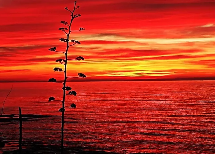 Mirando Al Mar Torrevieja